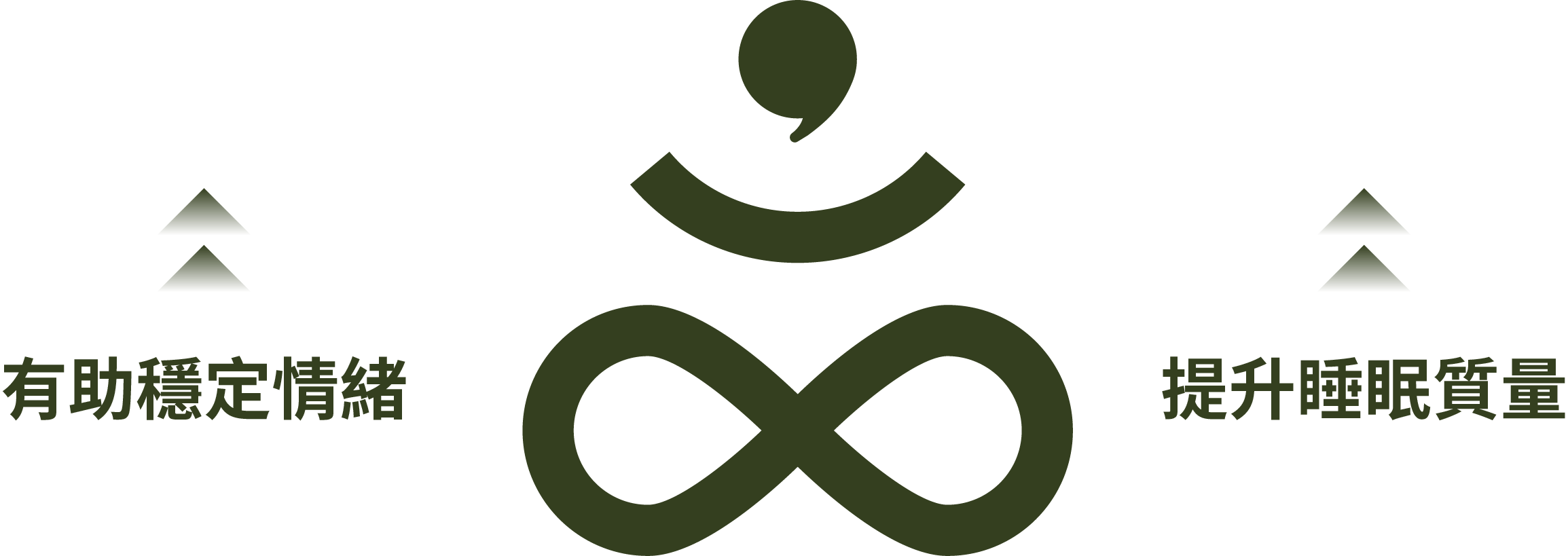 Feature Image 1