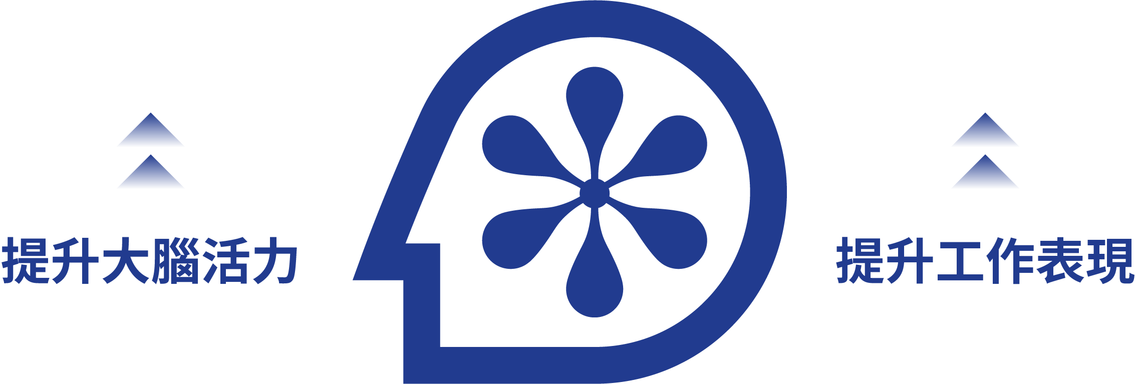 Feature Image 1