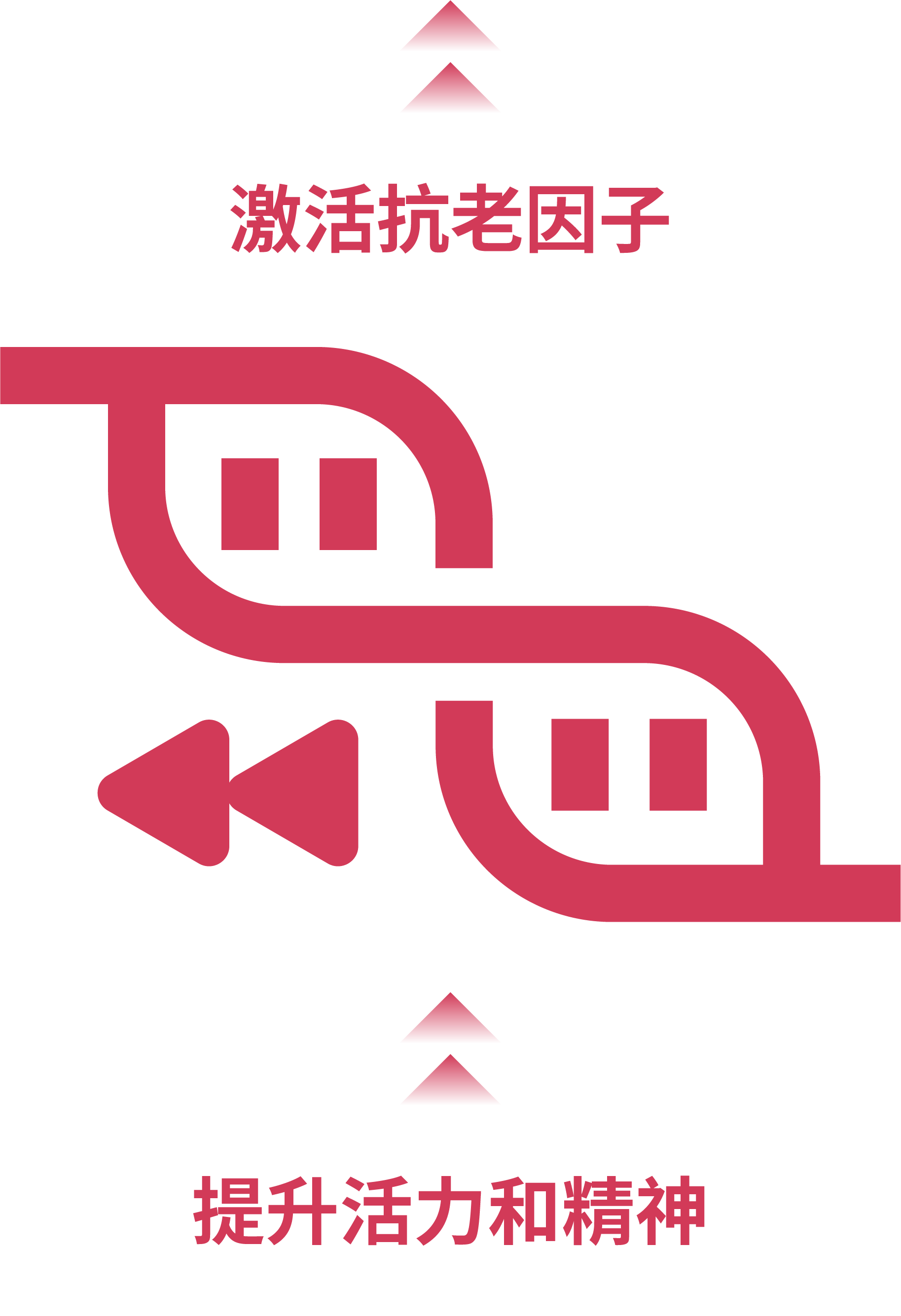 Feature Image 1