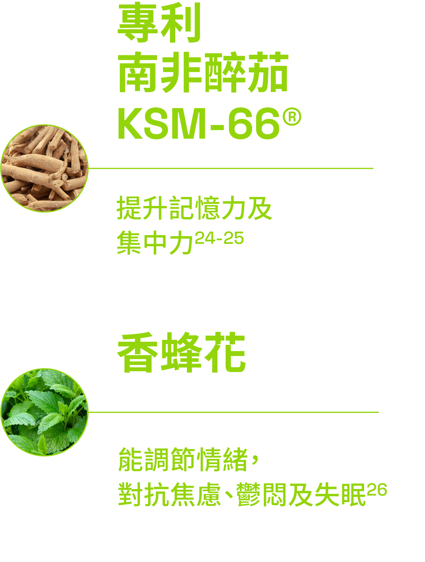 Ingredients 2