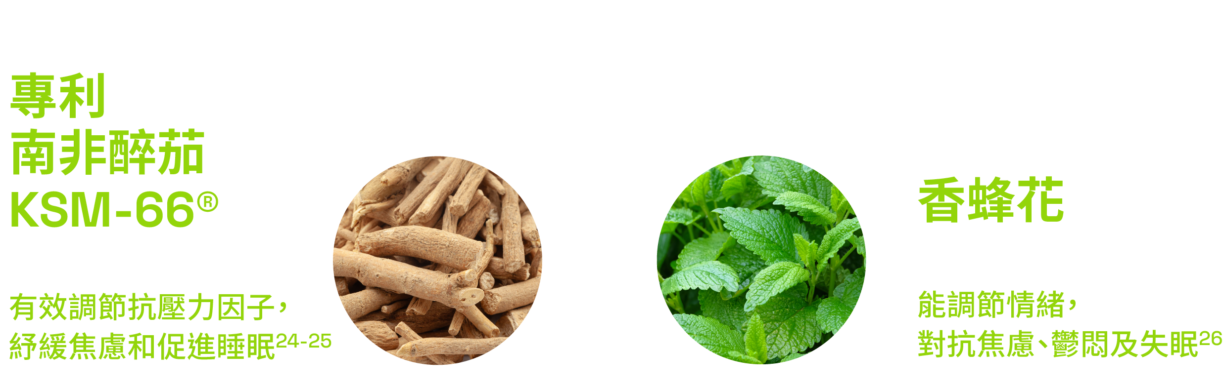 Ingredients 2